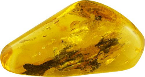 16,30 g  Amber Nugget with fly inclusion (1)