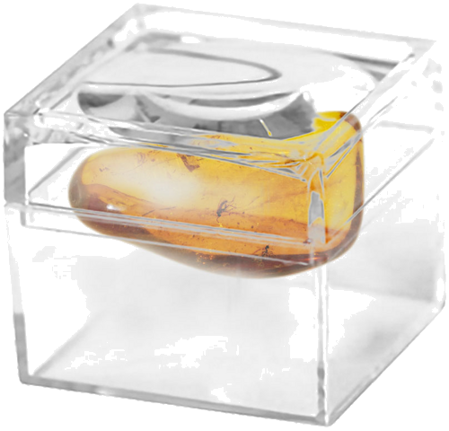 2,95 гр. Самороден кехлибар с фосил (2)