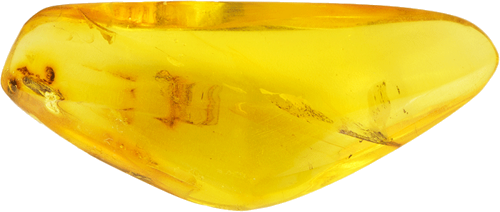 13,50 g Gintaro grynuolis su inkliuzais (4)