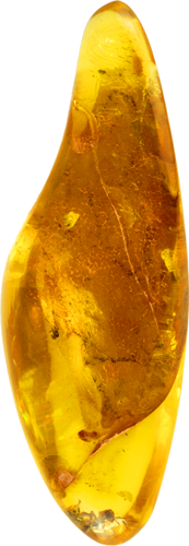 21,90 g Amber nugget with inclusions (1)