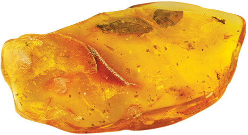 8,25 g Amber Nugget with inclusion (1)