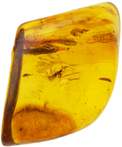 1,65 g Amber Nugget with inclusion (1)