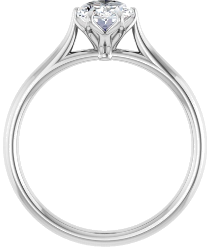 Sužadėtuvių Žiedas „Cathedral-Style Solitaire“ 10k white gold Oval 8mm x 6mm (7)