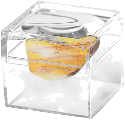 Самородок янтаря с инклюзом 2,10 г (2)