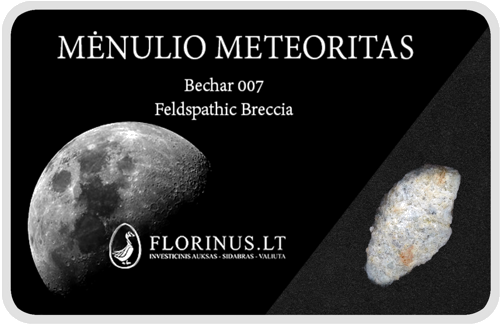 Lunar Meteorite (1)