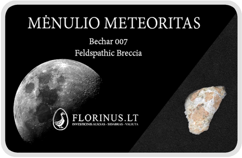 Lunar Meteorite (1)