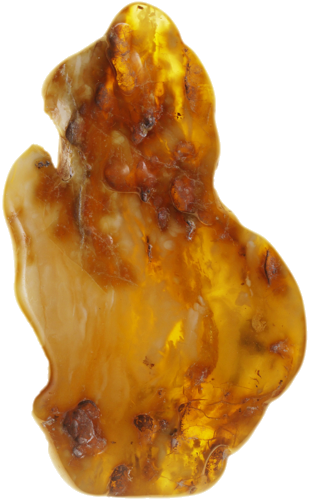 29,70  g Gintaro grynuolis (1)