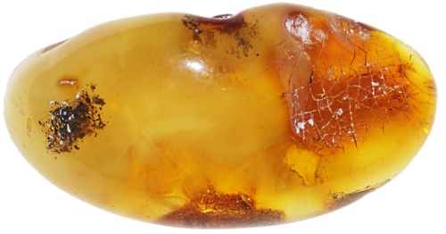 14,70 g Gintaro grynuolis (1)