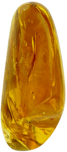 22,15 g Amber Nugget with fly inclusion (3)