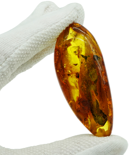 18,20 g Amber Nugget with inclusion (1)
