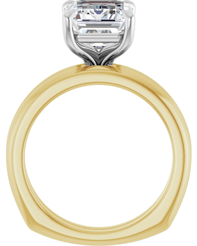Sužadėtuvių Žiedas „Claw-Prong Euro Shank“ 14k yellow/white gold Emerald 10mm x 8mm (7)