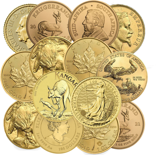 1 oz Investicinio aukso moneta (Mix gamintojas) (2)