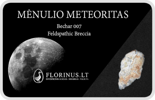 Mėnulio meteoritas (1)