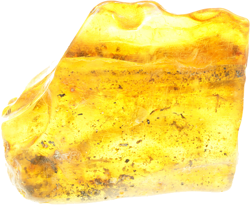 40,50 g Amber Nugget with inclusion (1)