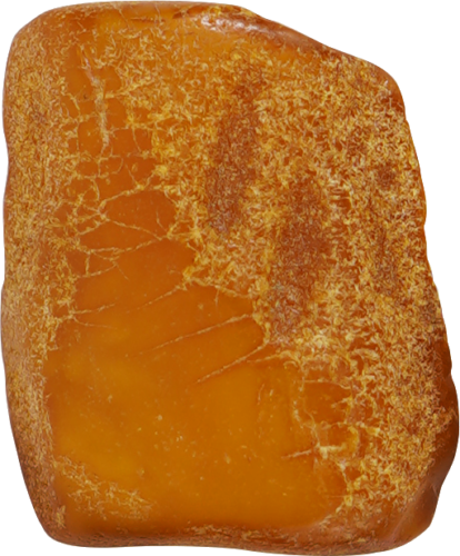 8,20 g Jūrinio Gintaro grynuolis (2)