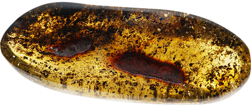 31,60 g Amber nugget (2)