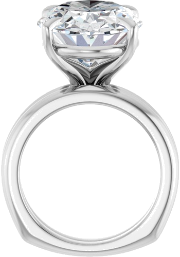 Sužadėtuvių Žiedas „Claw-Prong Euro Shank“ 14k white gold Oval 18mm x 13mm (7)