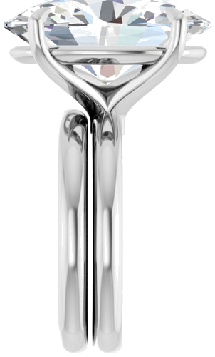 Sužadėtuvių Žiedas „Claw-Prong Euro Shank“ 14k white gold Oval 18mm x 13mm (9)