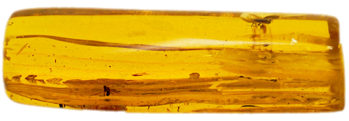 6,00 g Amber Nugget with inclusions (1)