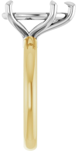 Sužadėtuvių Žiedas „Claw-Prong Euro Shank“ 14k yellow/white gold Pear 13mm x 8mm (4)