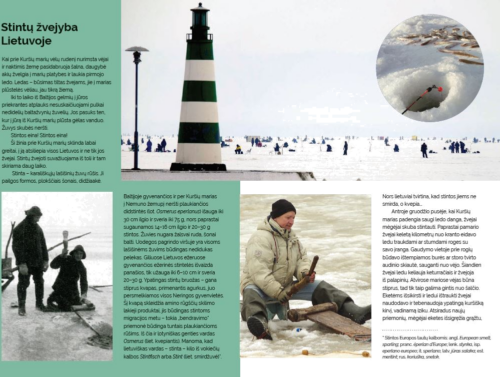 2019 Stintų žvejyba viliojant Lietuva 10 eurų sidabrinė moneta (3)