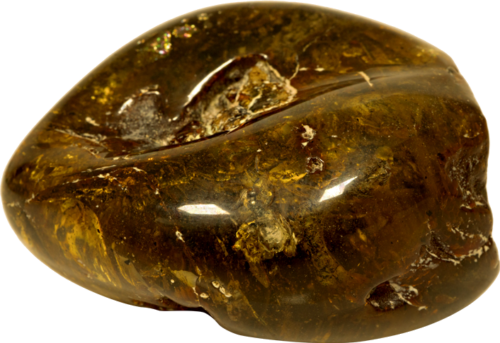 Самородок янтаря с инклюзом муравья 48,75 г (4)