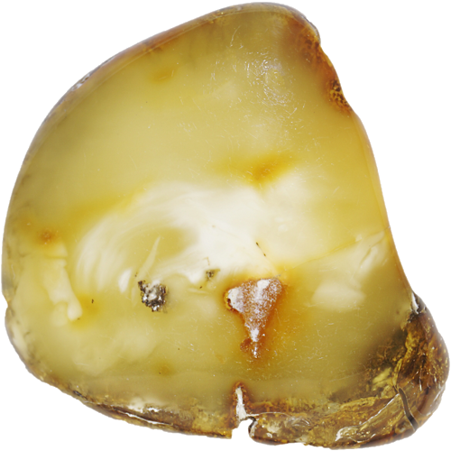 15,40 g Gintaro grynuolis (1)