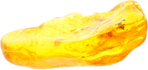 6,60 g Amber Nugget with inclusion (1)