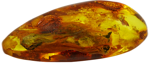 18,20 g Amber Nugget with inclusion (4)