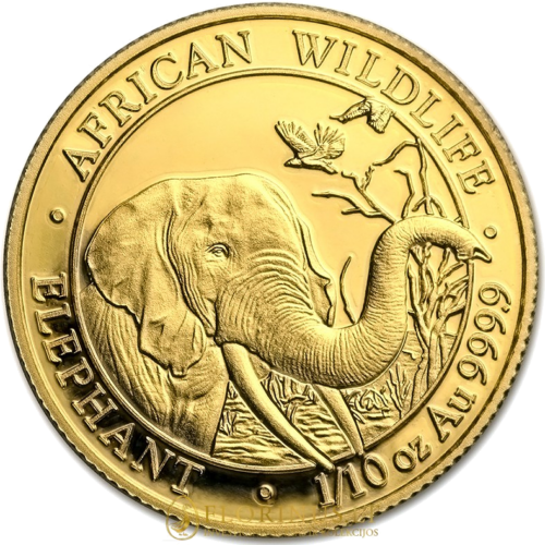 1/10 oz Слон 2018 Сомали золотая монета (1)