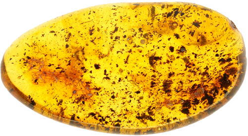 7,60 g Gintaro grynuolis (1)