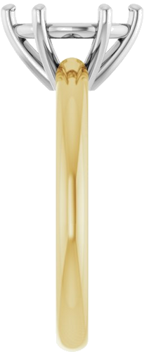 Sužadėtuvių Žiedas 14k yellow/white gold Round 8.8mm (4)