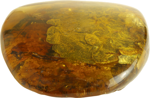 34,40 гр. Самороден кехлибар с фосил от кора на дърво (3)