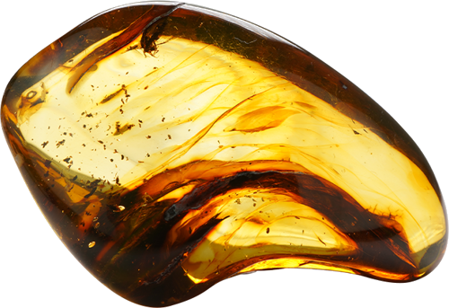 20,35 g Amber nugget (1)