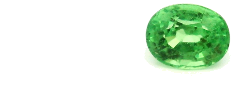0.46 carat GREEN Oval Garnet (1)