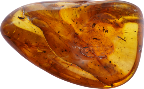 14,30 g Amber Nugget with inclusion (1)