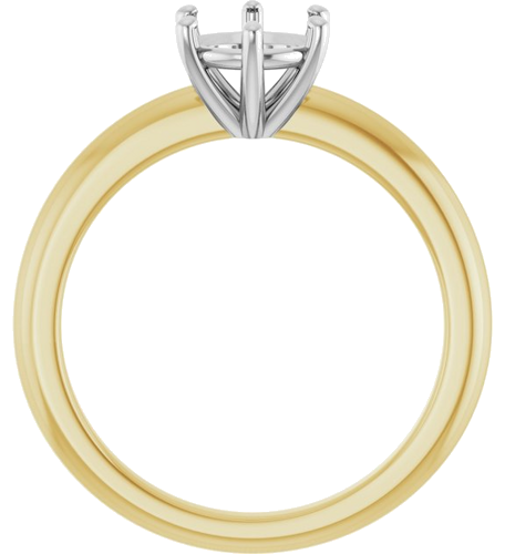 Sužadėtuvių Žiedas 14k yellow/white gold Round 6.5mm (2)