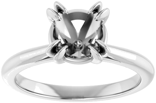 Sužadėtuvių Žiedas „Solitaire“ 585 Baltojo Aukso Round 7.4mm (3)