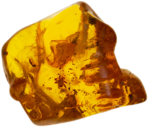 10,60 g Gintaro grynuolis su Voro inkliuzu (1)