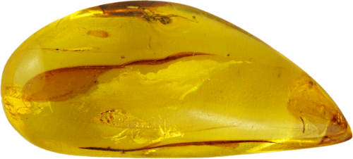 22,15 g Amber Nugget with fly inclusion (1)