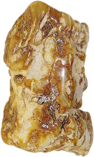 15,60 g Amber nugget (1)