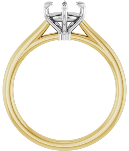 Sužadėtuvių Žiedas „Claw-Pong“ 14k yellow/white gold Round 6.5mm (2)