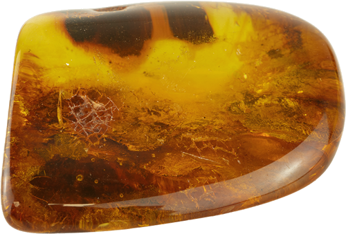 22,15 g Amber Nugget with fly inclusion (4)