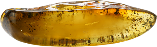 59,15 g Amber nugget with inclusions (2)