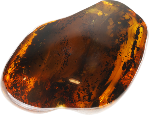 31,60 g Amber nugget (1)