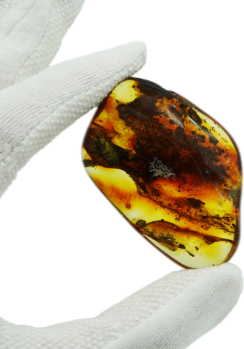 20,65 g Amber Nugget with bug inclusion (1)