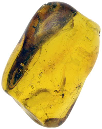 8,10 g Amber Nugget with inclusion (1)