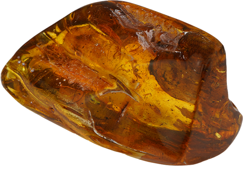 41,75 g Amber nugget with inclusion (4)