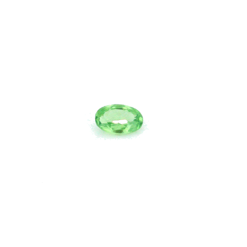 0.3 carat GREEN Oval Garnet (1)