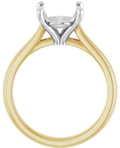 Sužadėtuvių Žiedas 14k yellow/white gold Oval 11mm x 9mm (2)